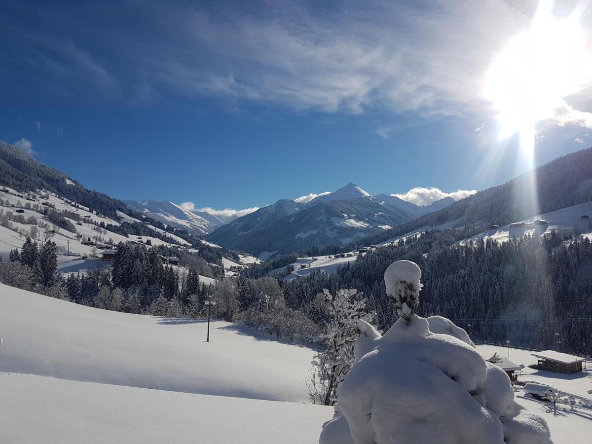 Hotel Andreas Alpbach Dış mekan fotoğraf