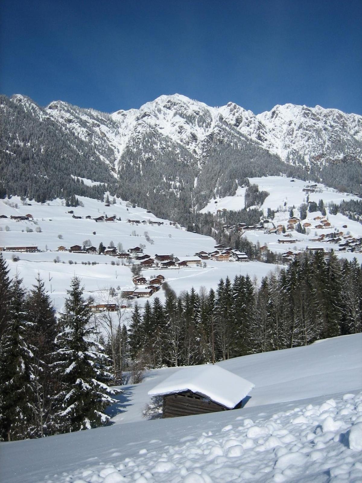 Hotel Andreas Alpbach Dış mekan fotoğraf